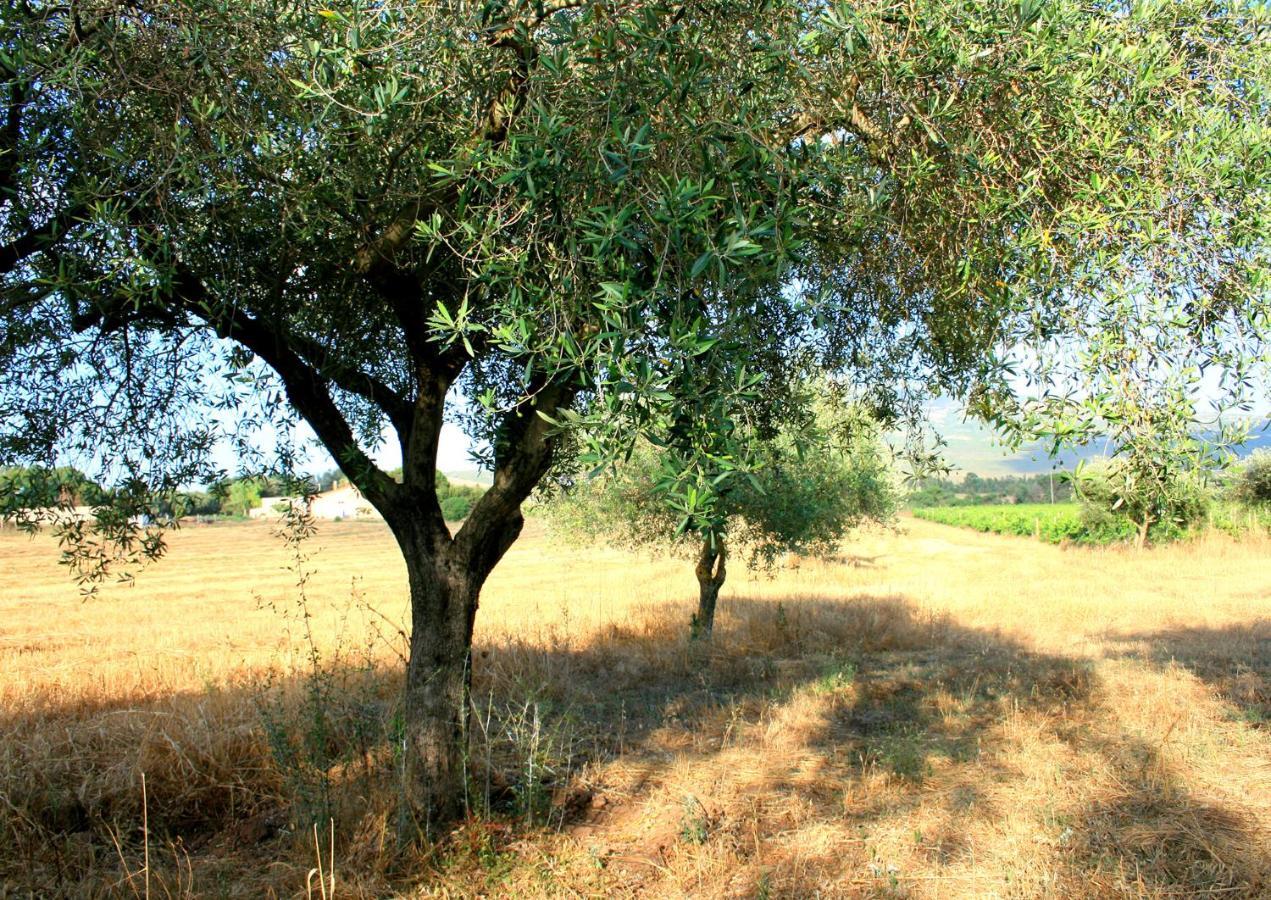 Agriturismo Da Pina ปอร์โต คอนเต ภายนอก รูปภาพ